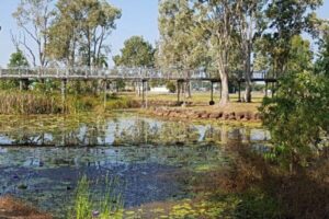 TYTO wetlands